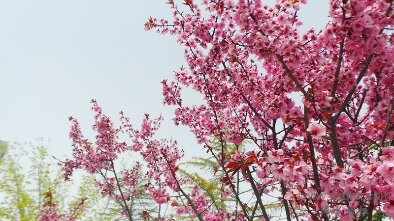 20140425_122642_.jpg