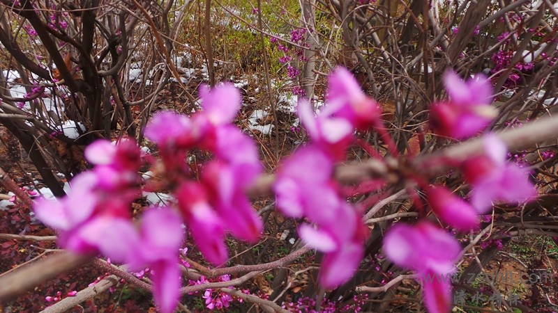 20140425_122826_.jpg