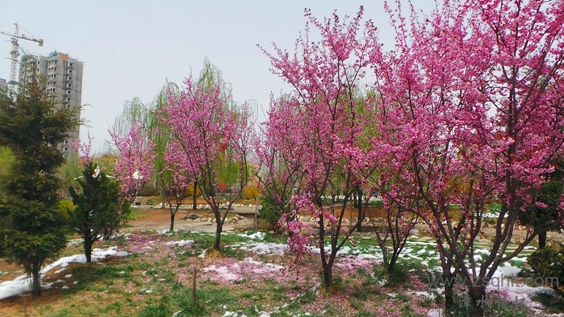 20140425_124346_.jpg