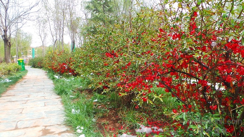 20140425_124545_.jpg