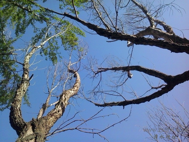 20140507_082407_.jpg