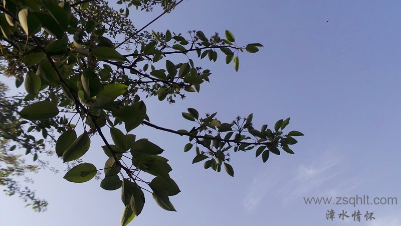 20140503_180531_.jpg