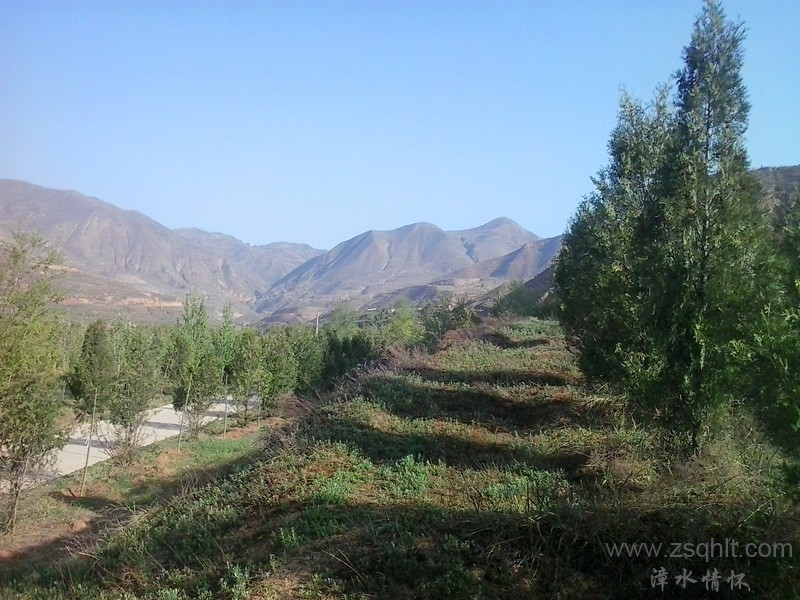 20140511_082615_.jpg