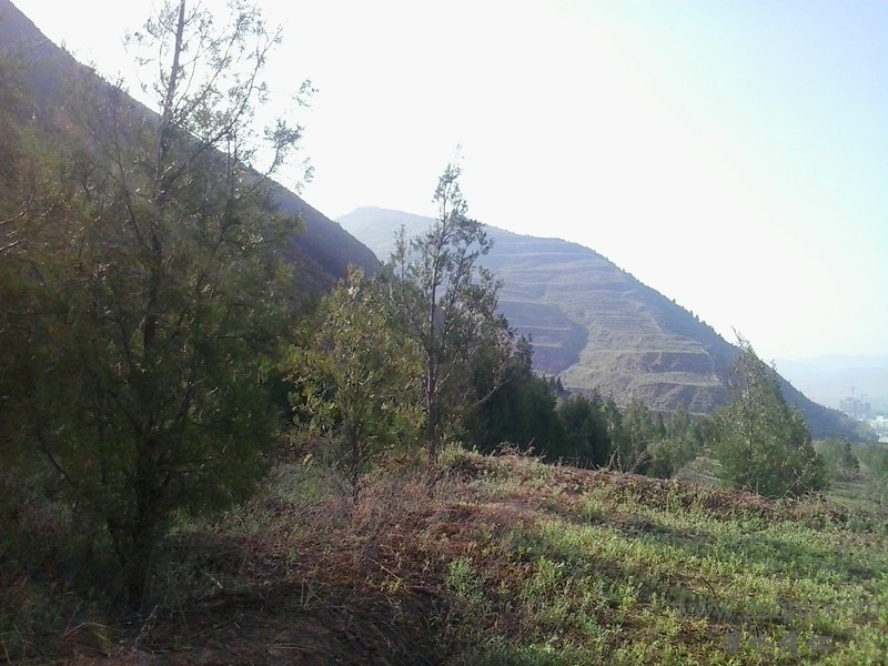 20140511_083255_.jpg