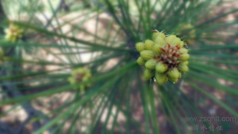 20140511_142610.jpg