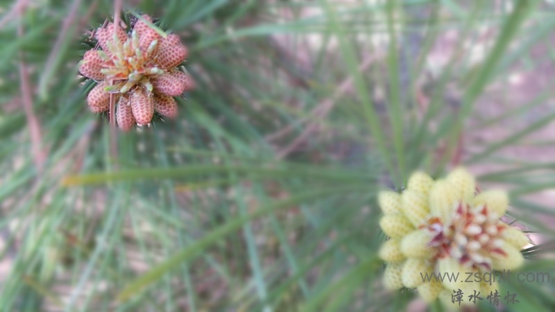 20140511_142642.jpg