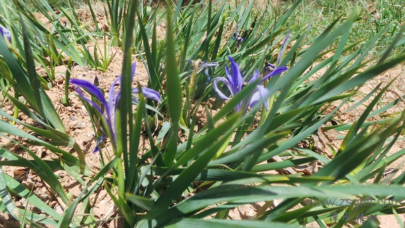 20140511_143503_.jpg