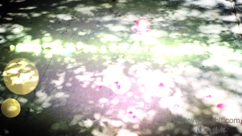 20140511_144356.jpg