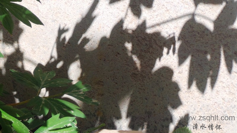 20140511_144450_.jpg