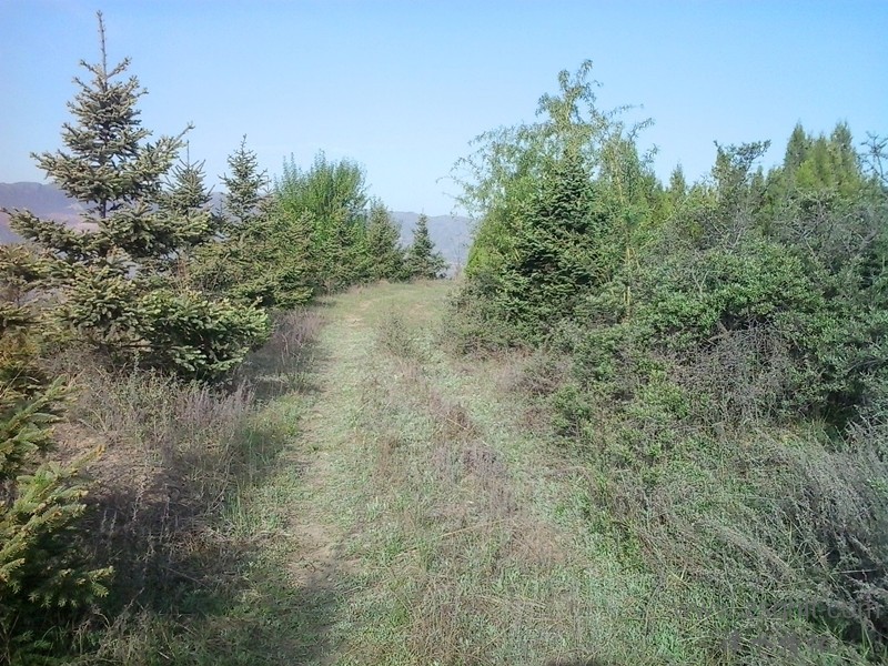 20140517_080958_.jpg