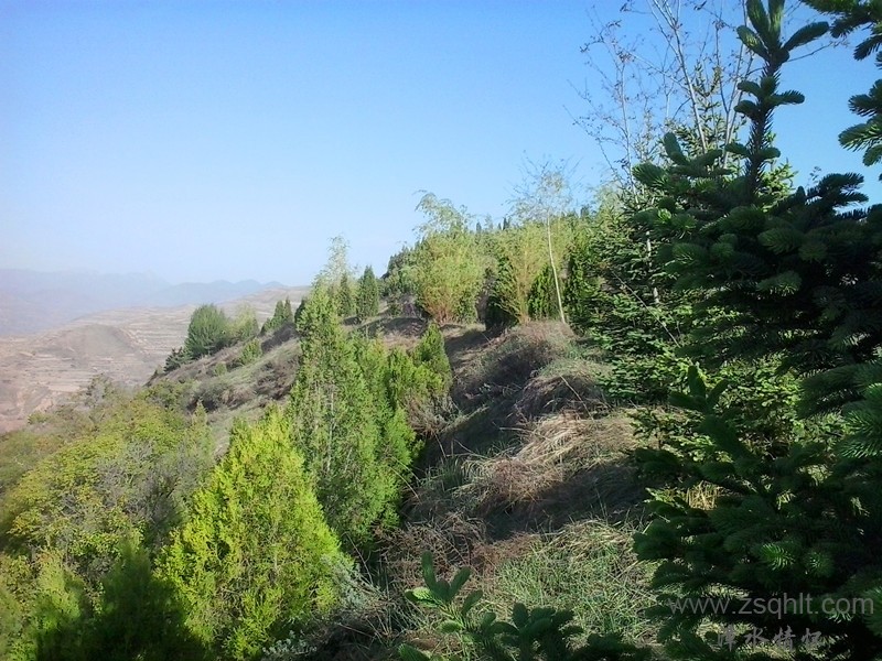 20140517_081437_.jpg