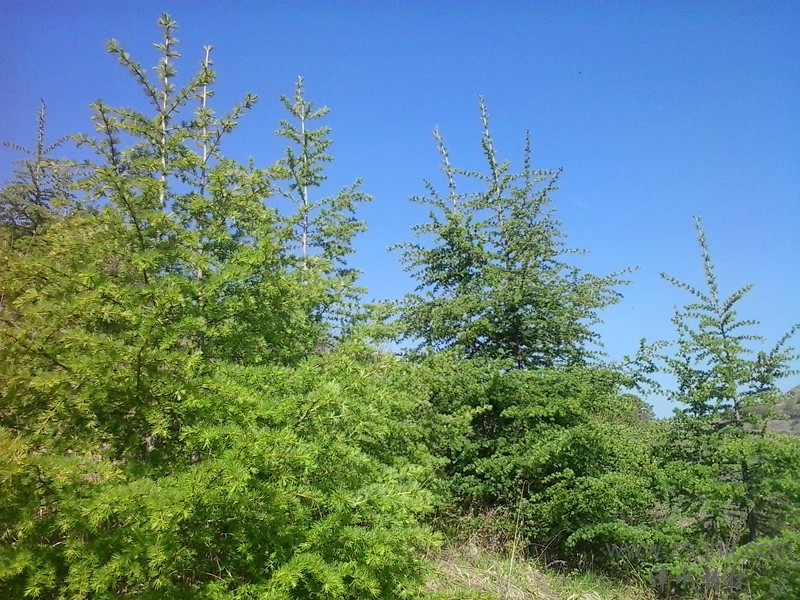 20140517_091005_.jpg