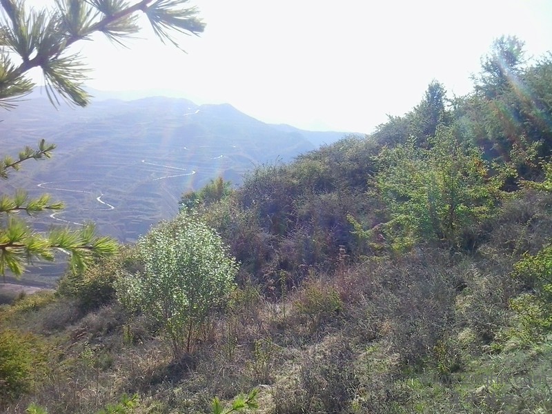 20140517_091115_.jpg