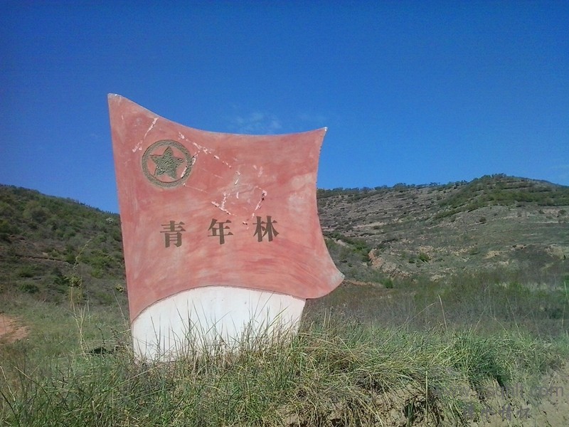 20140517_095206_.jpg