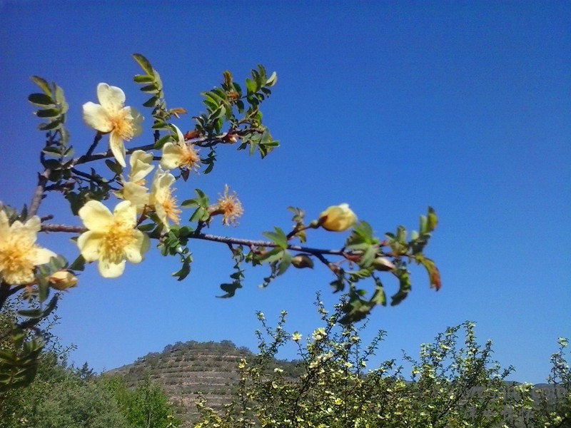 20140517_093235_.jpg