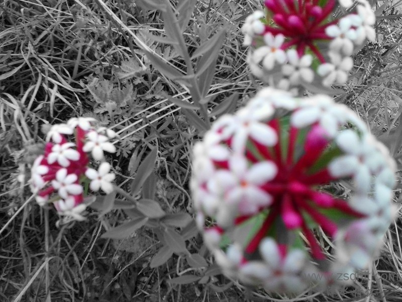 20140517_075332_.jpg
