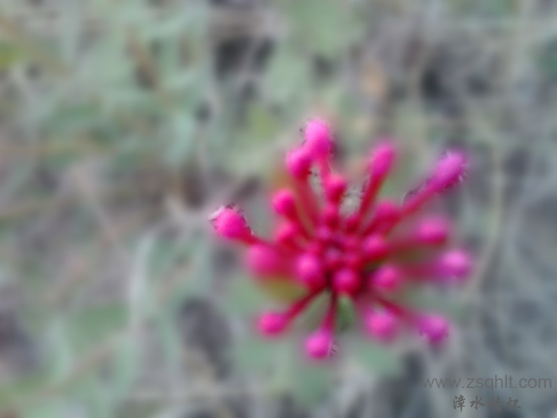 20140517_075349_.jpg