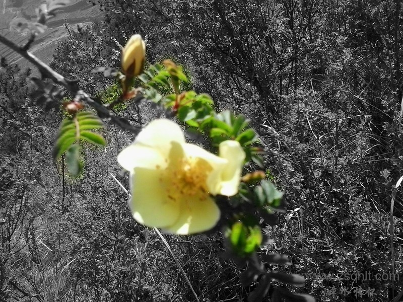 20140517_085113_.jpg