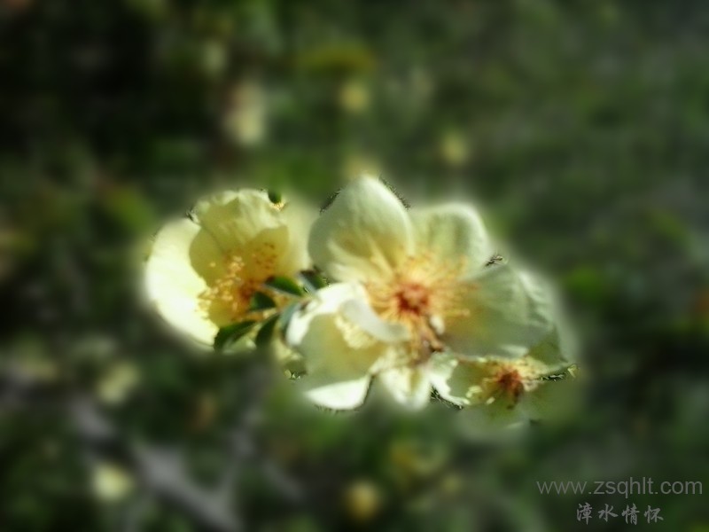 20140517_085214_.jpg