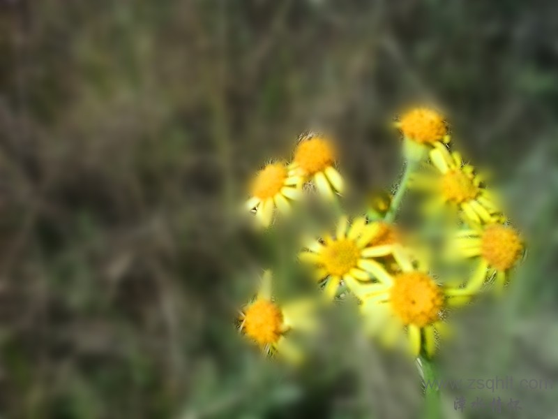 20140517_090438_.jpg
