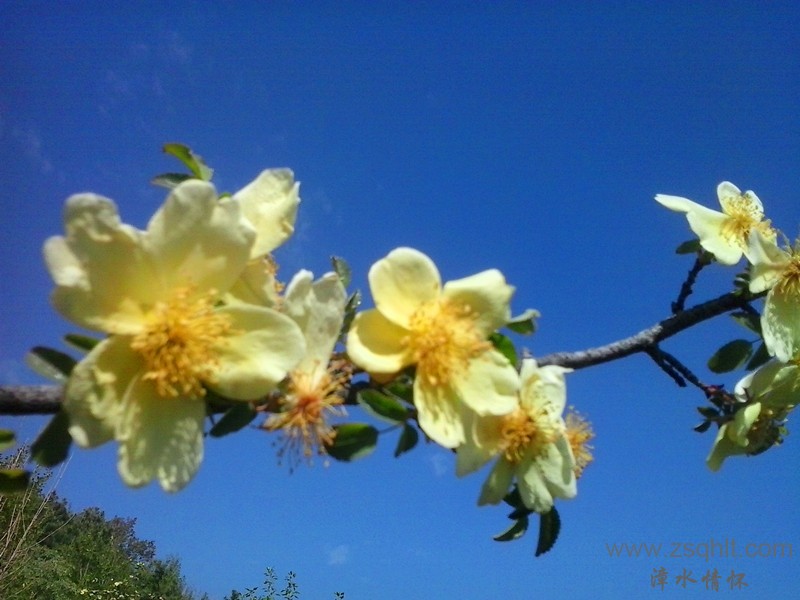 20140517_093151_.jpg