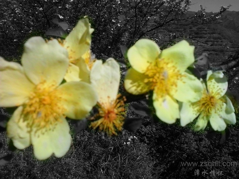 20140517_093203_.jpg