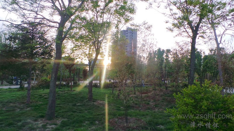 20140516_191150_.jpg