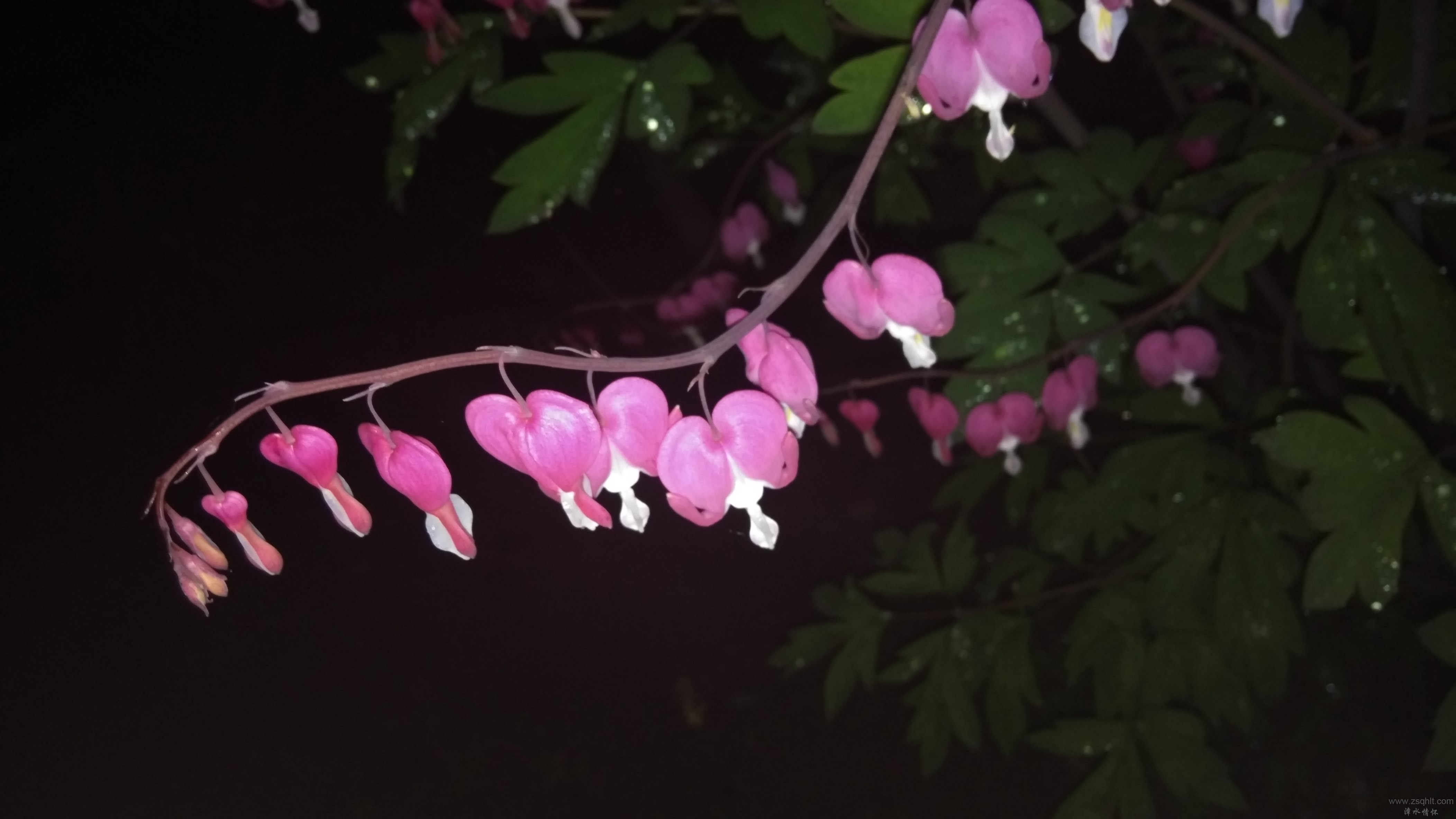 IMG_20140523_054106.jpg