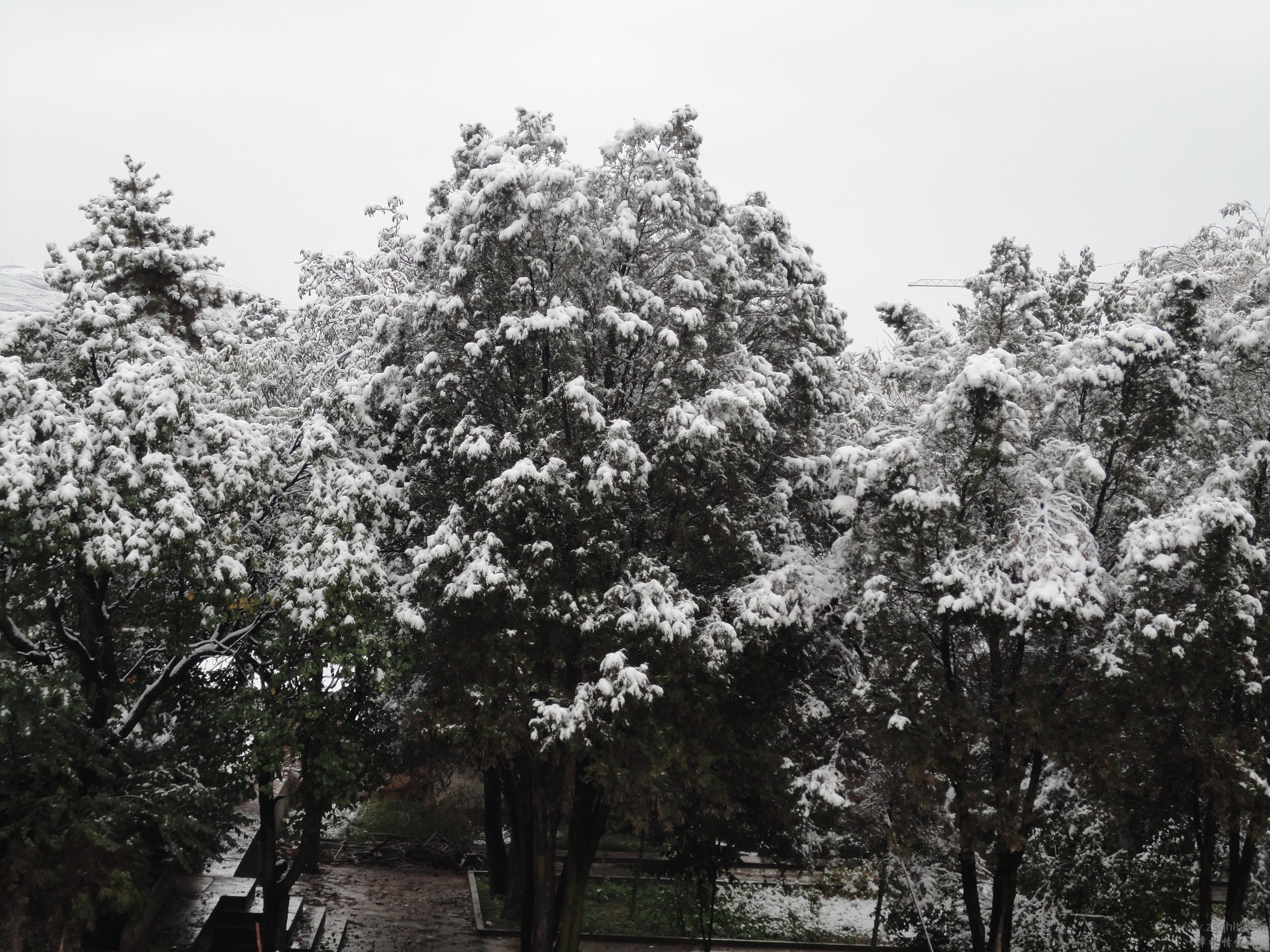 DSC08833.JPG