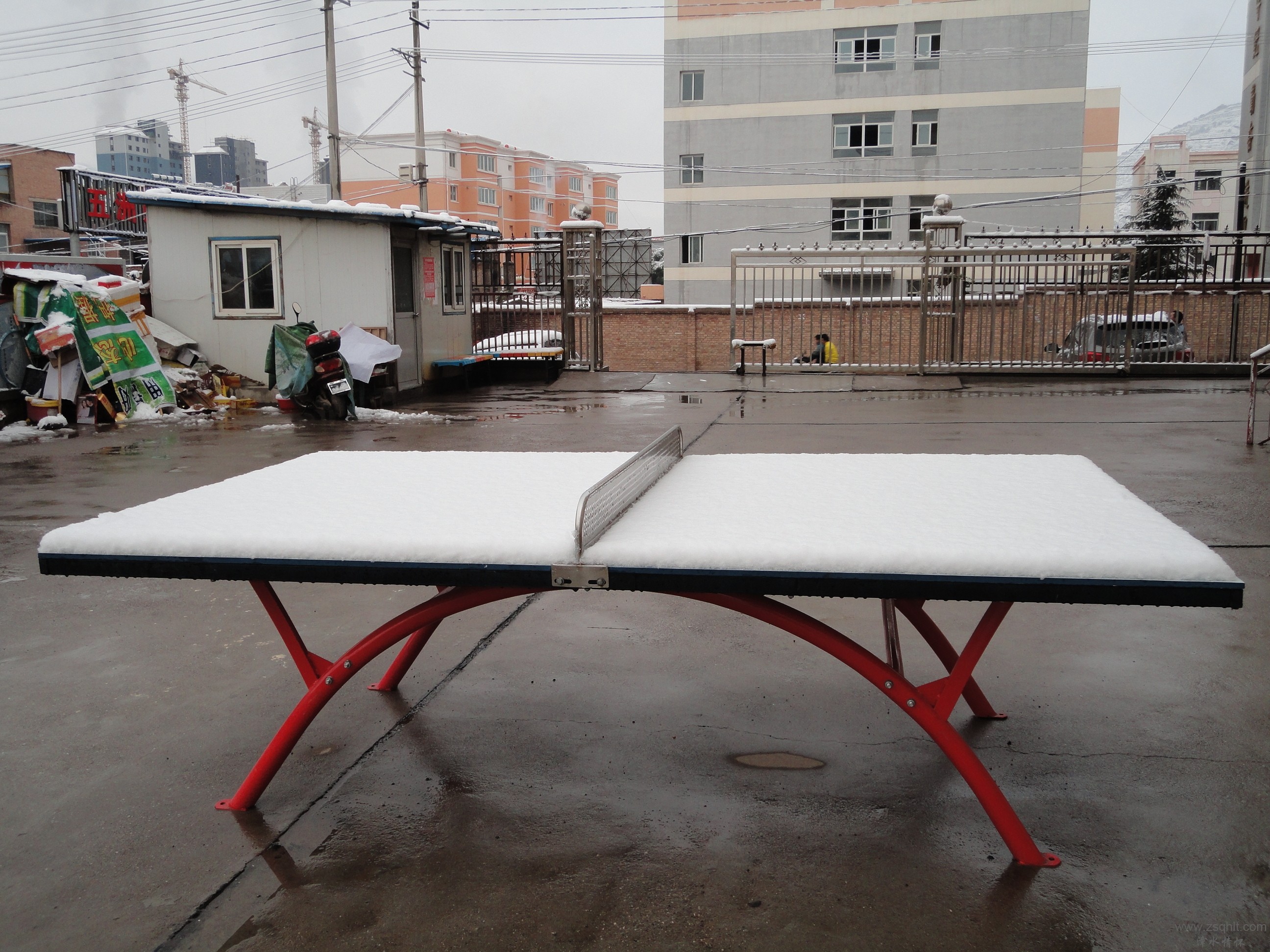 DSC08840.JPG
