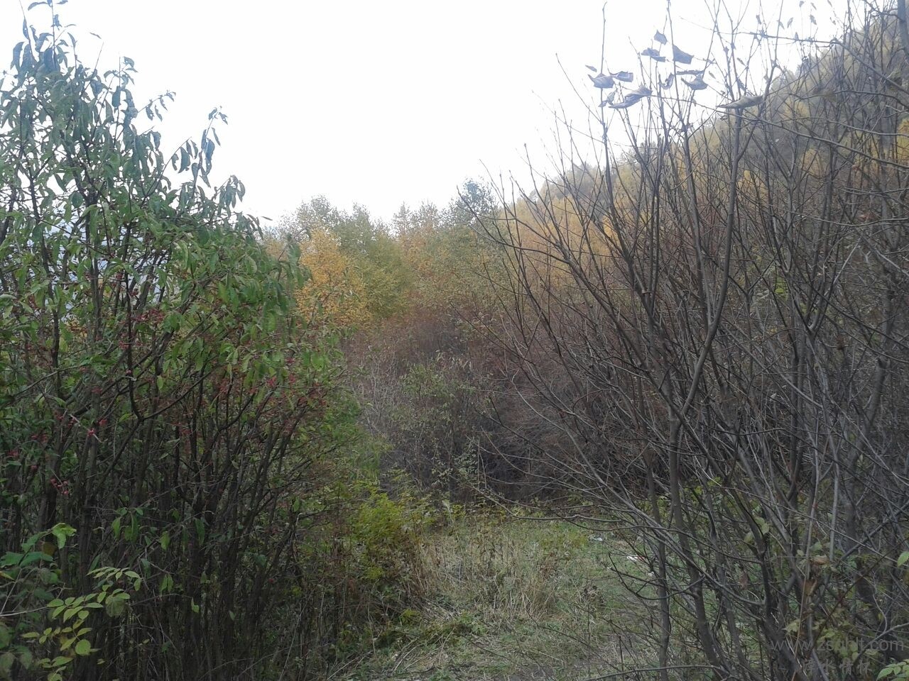 D77BDEBDD2C41C4367BBD0C0BF833CEB.jpg