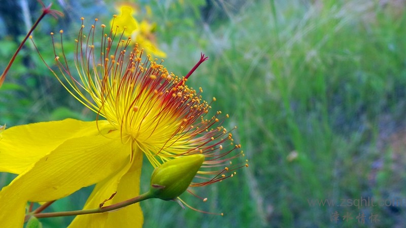 20150628_120814.JPG