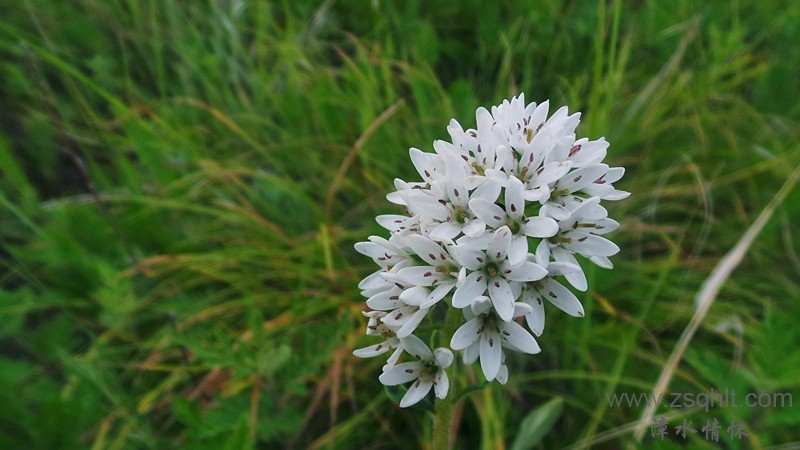 20150628_121006.JPG