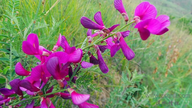 20150628_121553.JPG