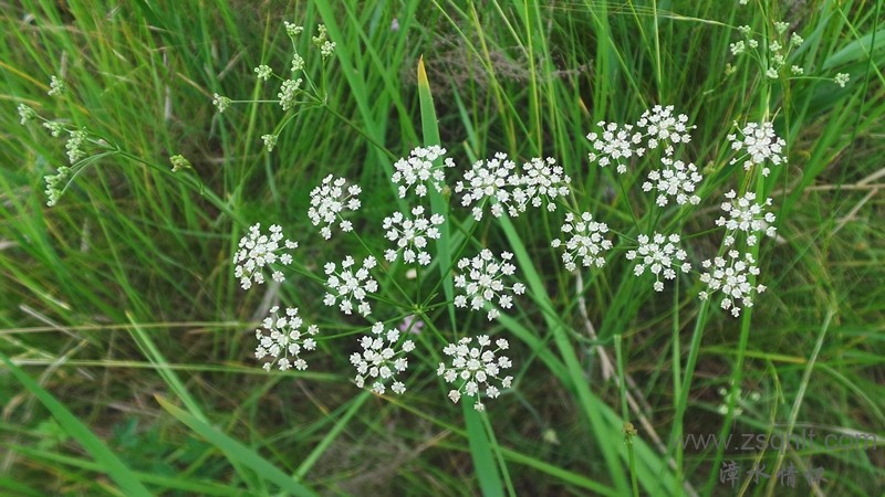 20150628_124456.JPG