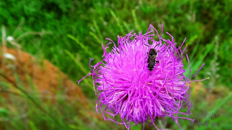 20150628_124803.JPG
