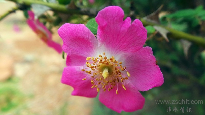 20150628_130953.JPG