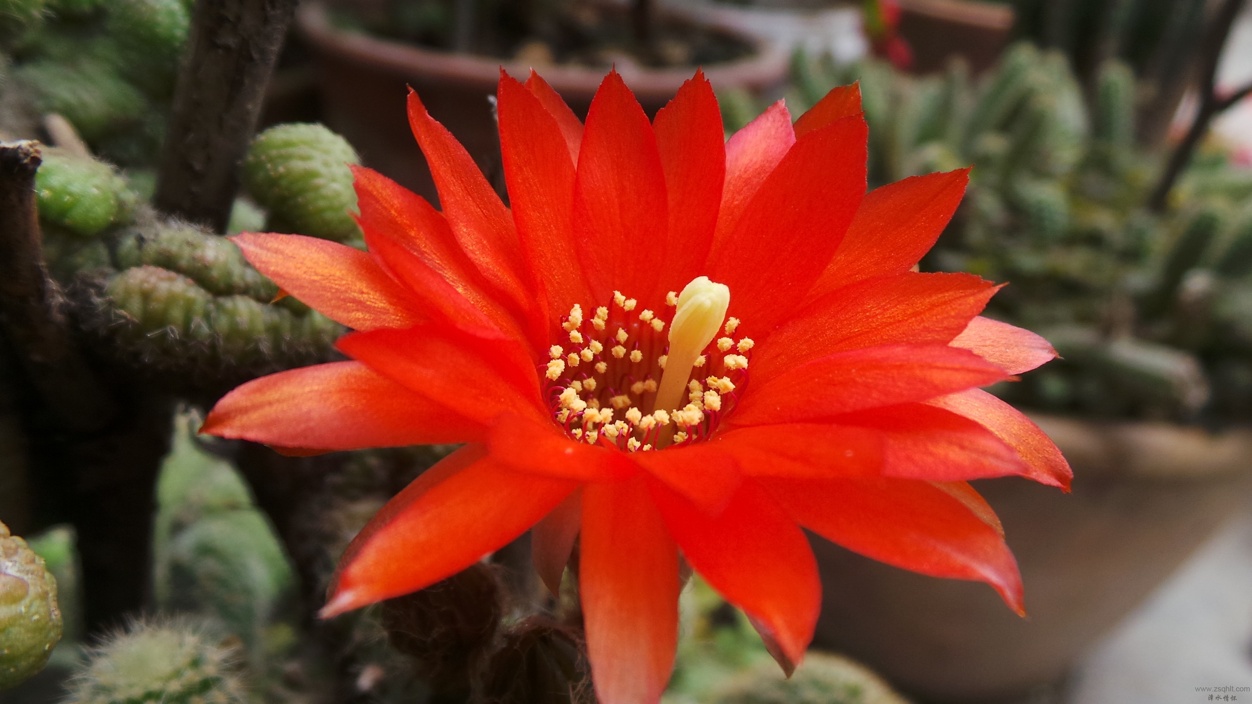 20150626_130243.JPG