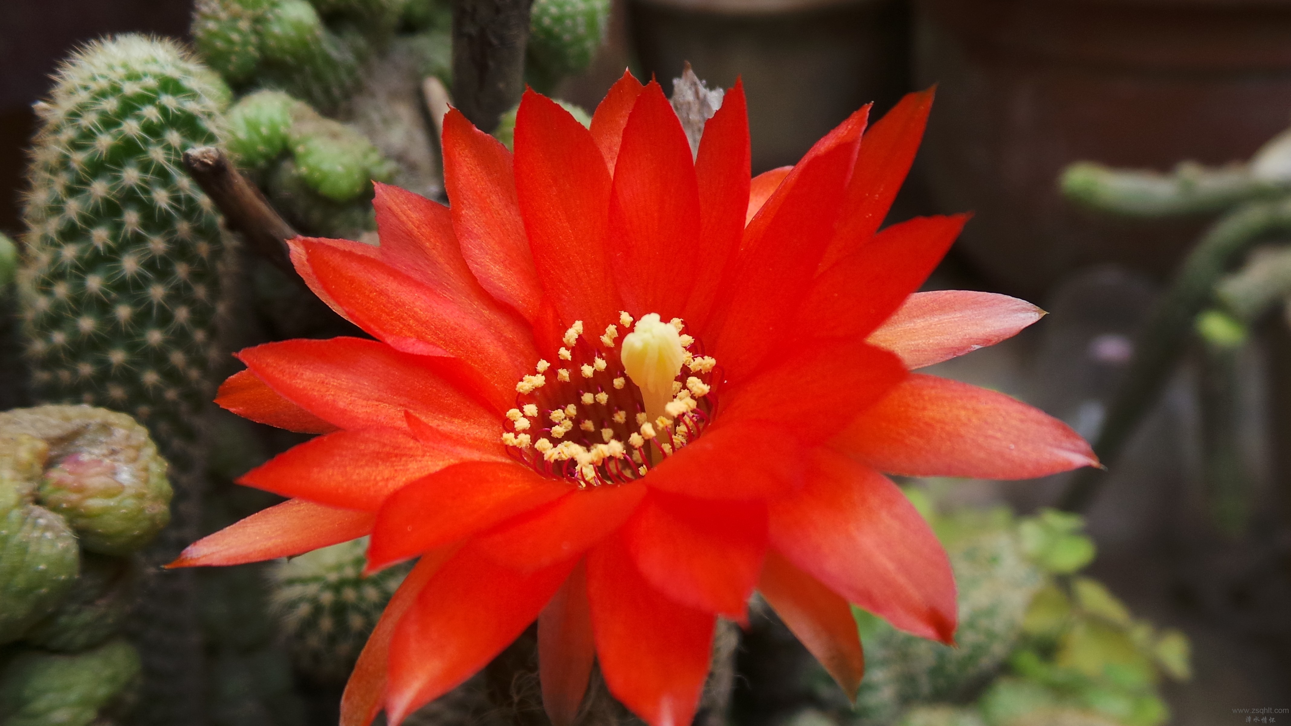 20150626_130327.JPG