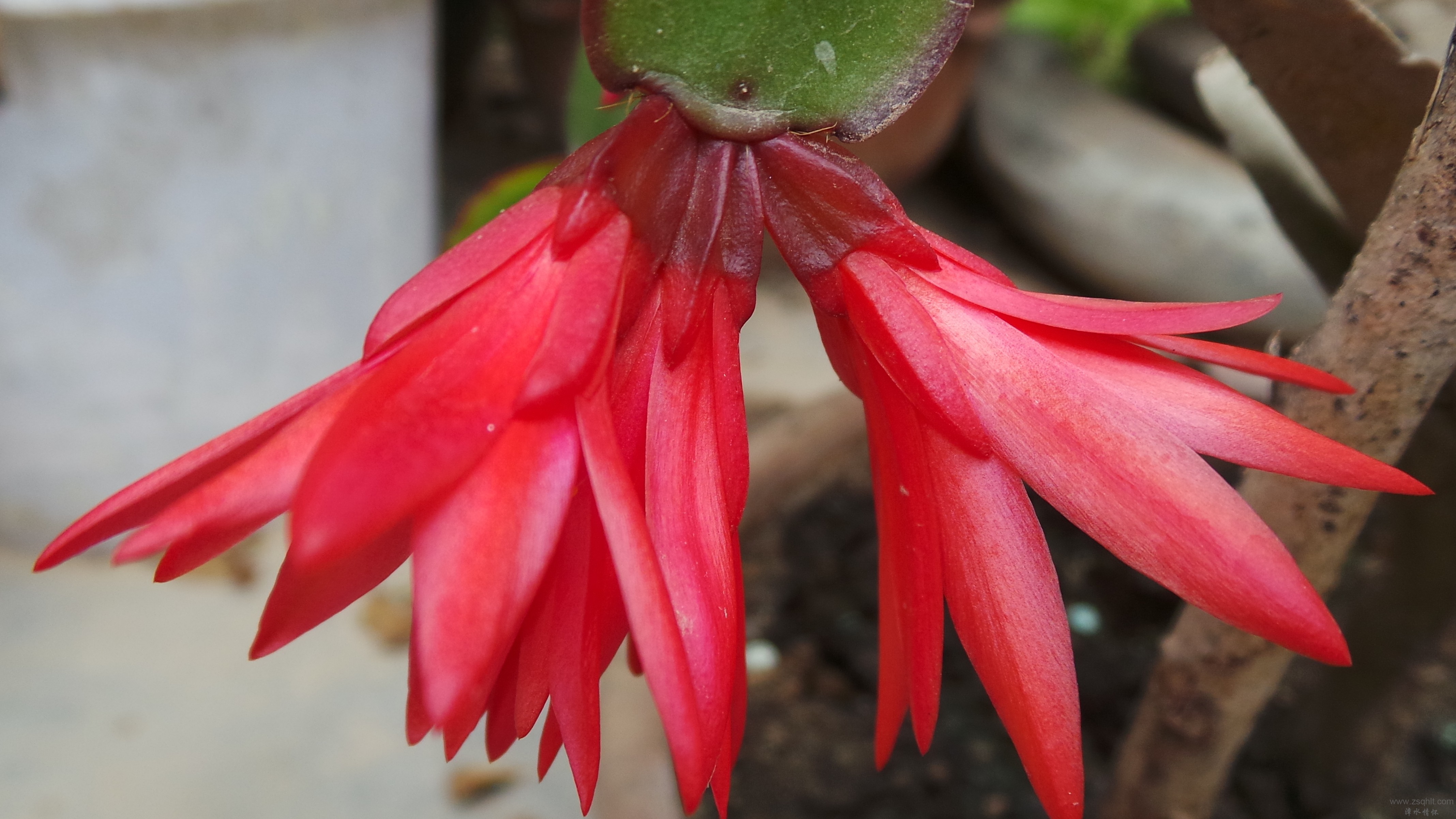 20150626_130355.JPG
