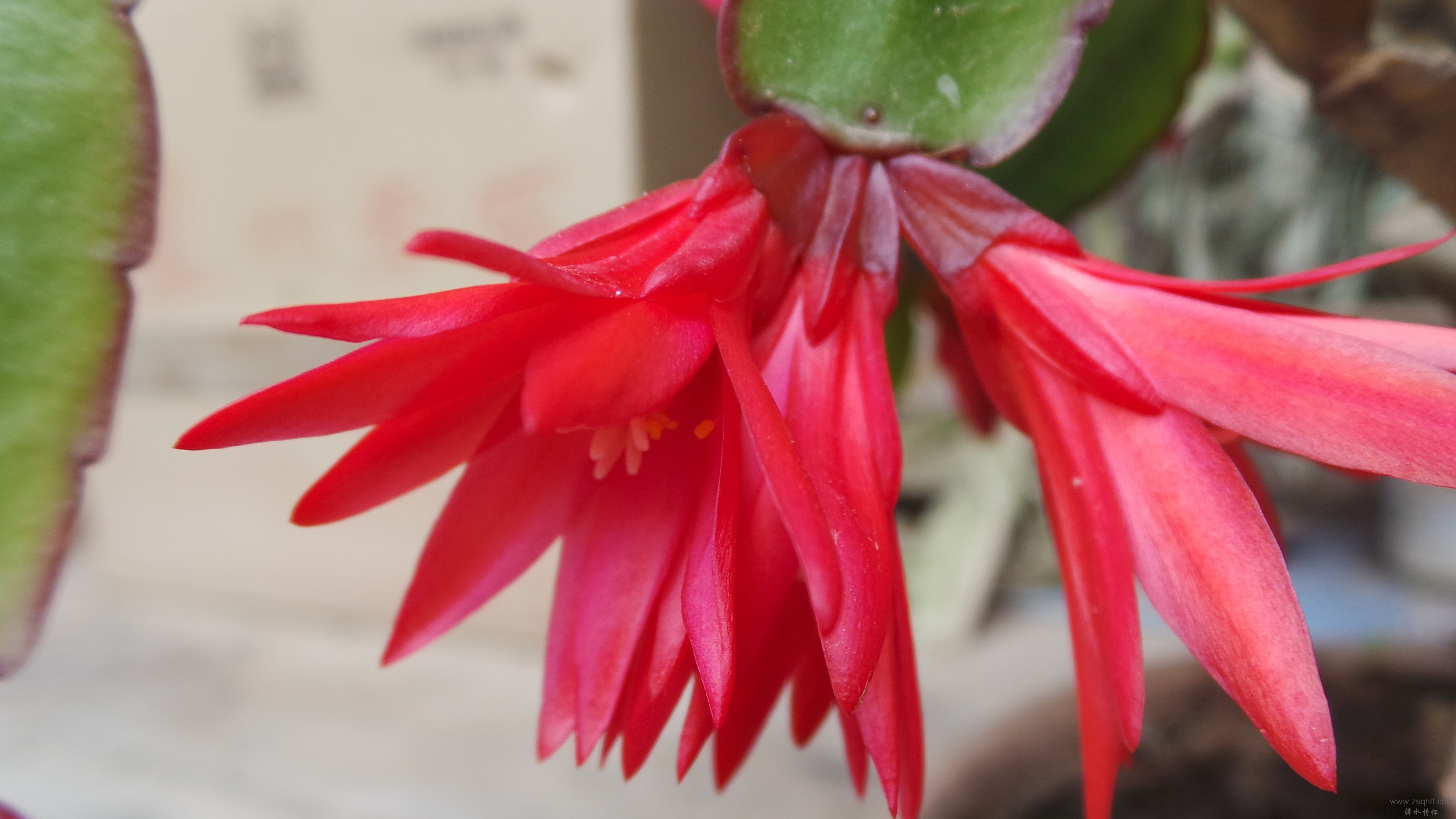20150626_130440.JPG