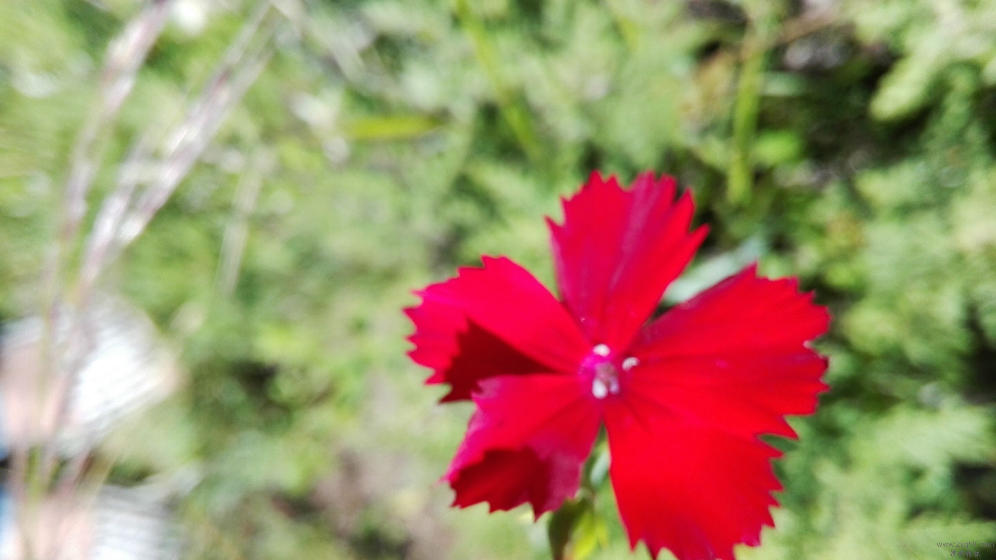 QQͼƬ20150724132051.jpg