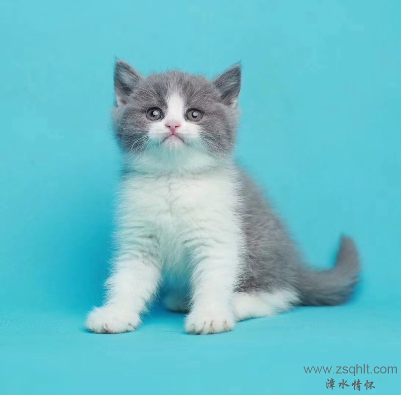 40d322803c0c8c7363e0ea4d4bedc373.jpg